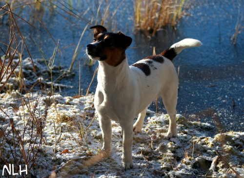 091031 Sissi.jpg - Sissi sineä vasten